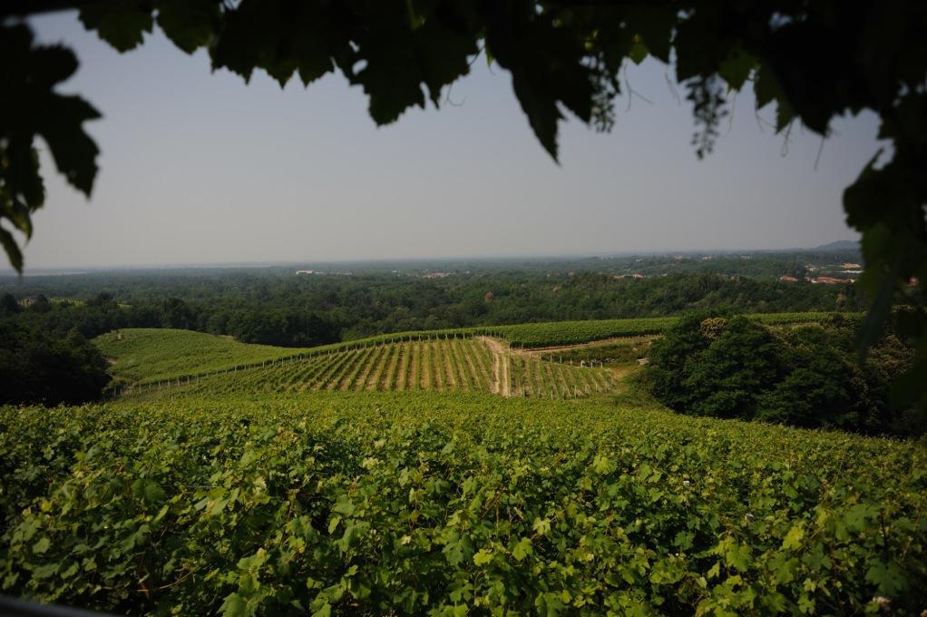 Locanda Villa Cavalleri Gattinara Εξωτερικό φωτογραφία